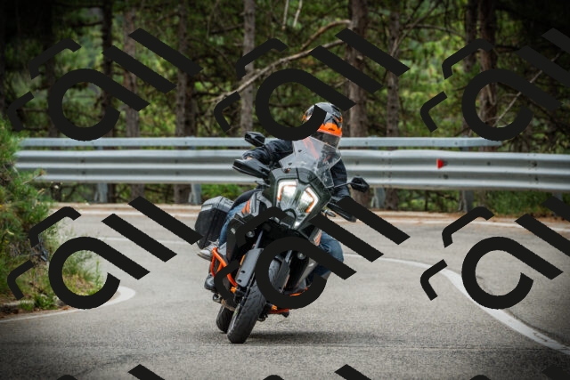 202507261121-DSC07983_c1_