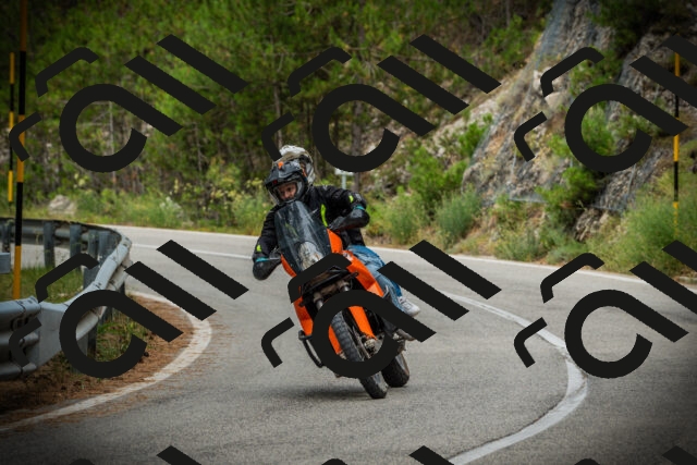 202507261124-DSC07988_c1_