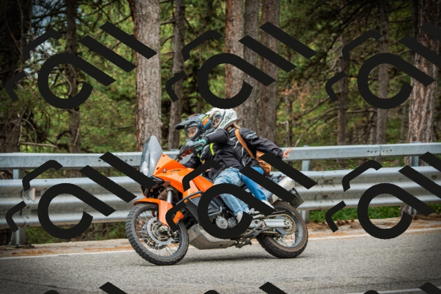 202507261124-DSC07990_c1_