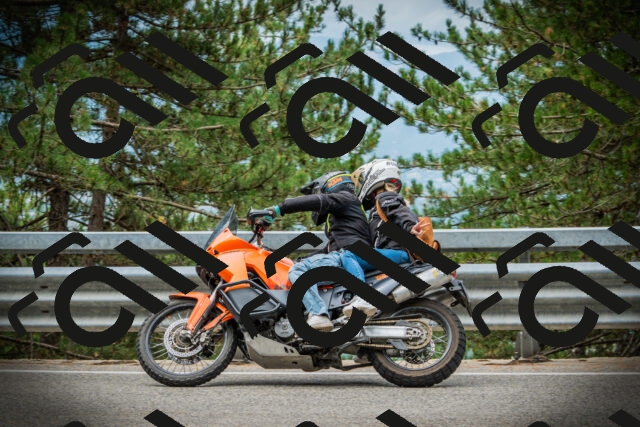 202507261124-DSC07991_c1_