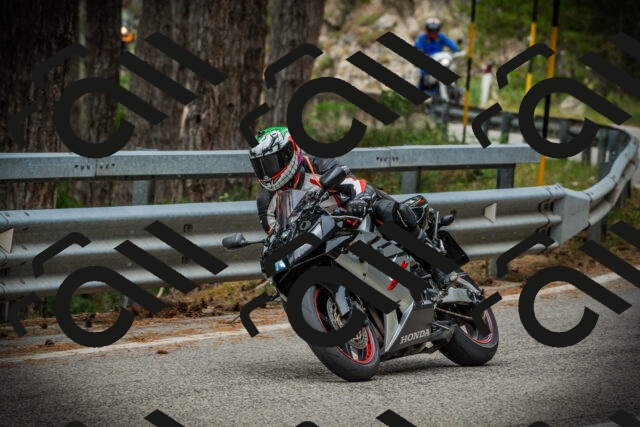 202507261125-DSC08000_c1_