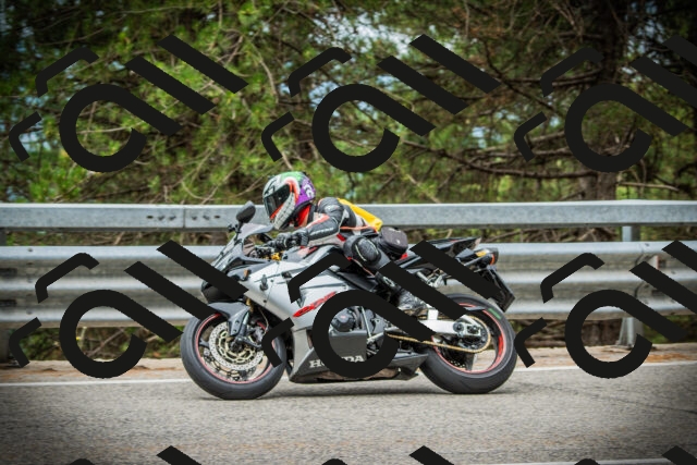 202507261125-DSC08001_c1_