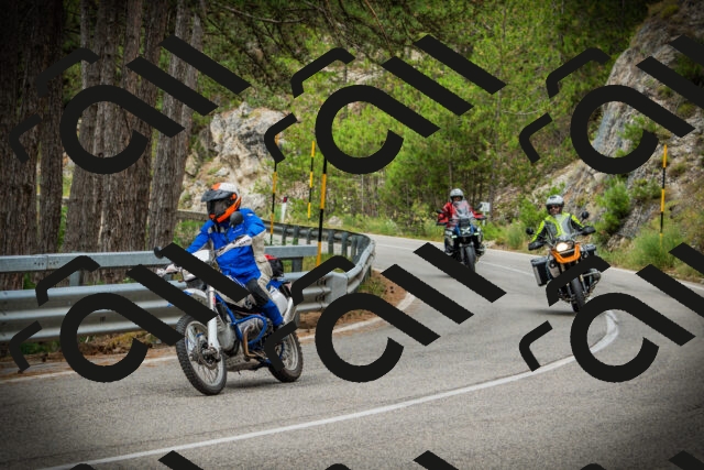 202507261125-DSC08005_c1_