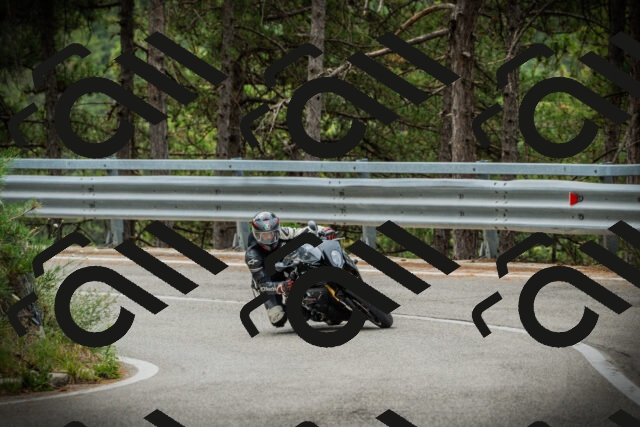 202507261126-DSC08012_c1_