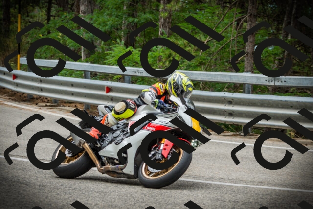 202507261126-DSC08017_c1_