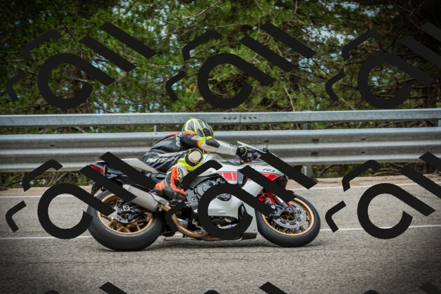 202507261126-DSC08018_c1_