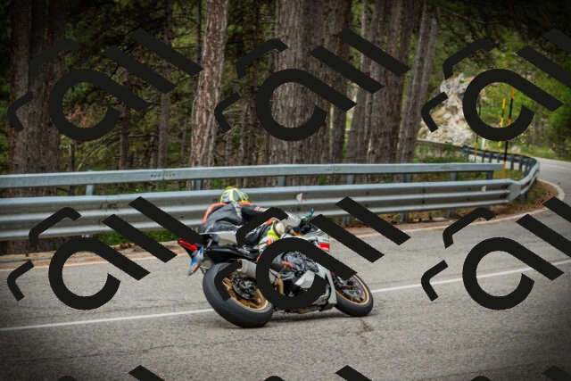 202507261126-DSC08019_c1_