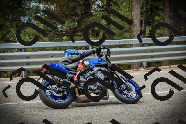 202507261126-DSC08025_c1_