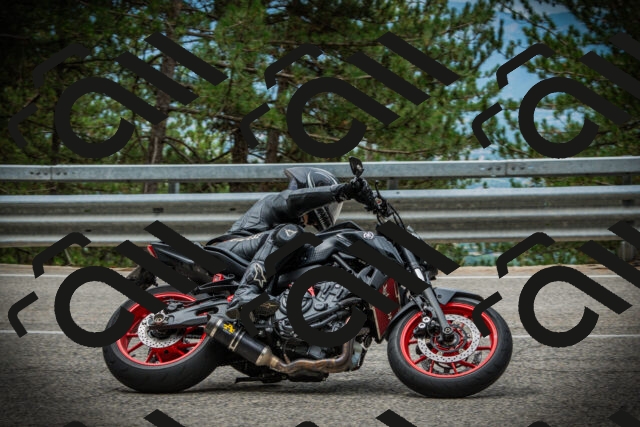 202507261127-DSC08038_c1_