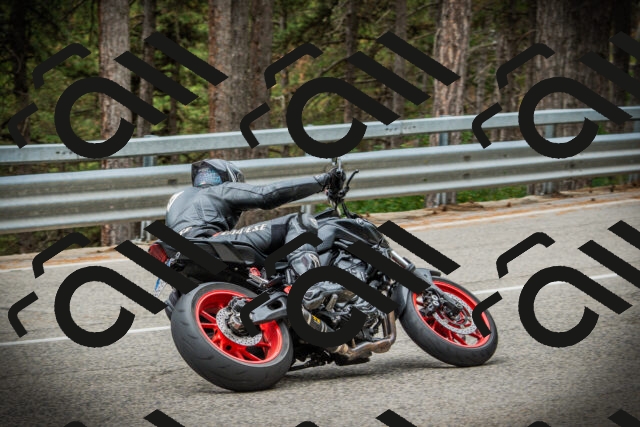 202507261127-DSC08039_c1_