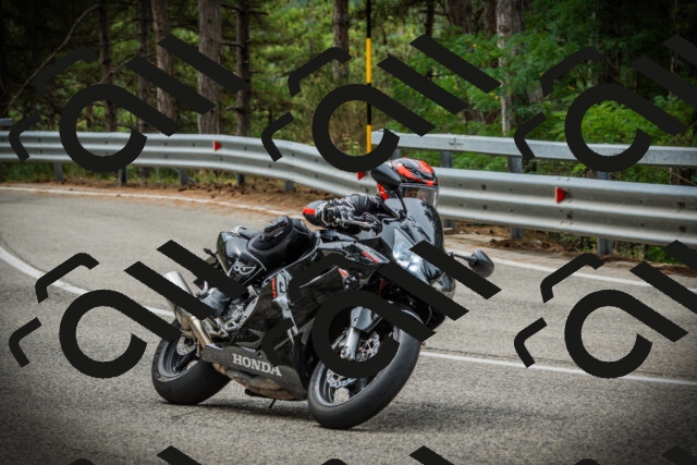 202507261127-DSC08042_c1_