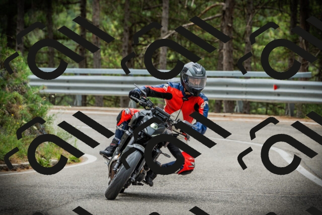 202507261127-DSC08045_c1_