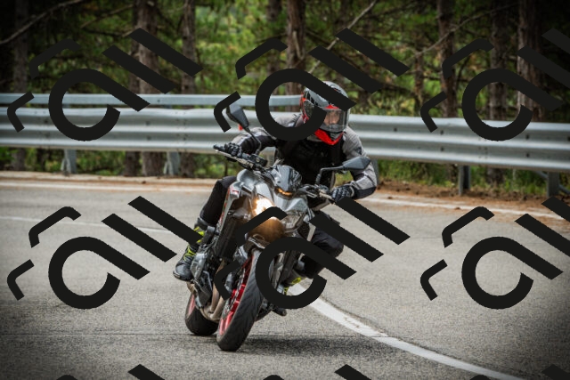 202507261128-DSC08063_c1_