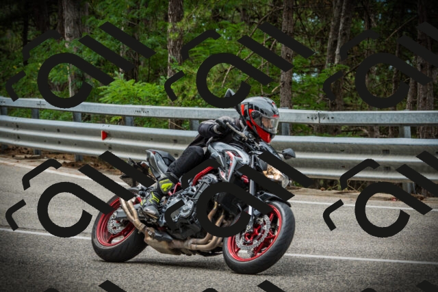 202507261128-DSC08064_c1_