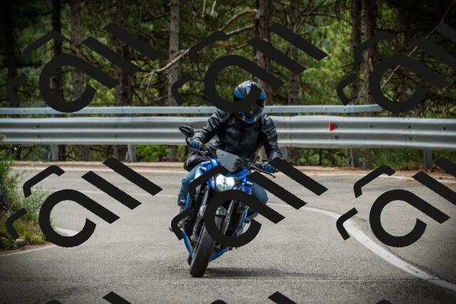 202507261129-DSC08076_c1_