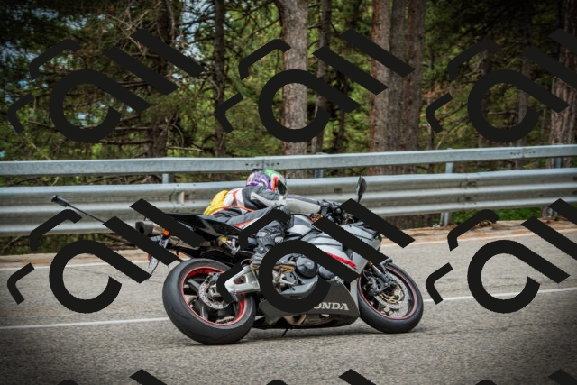 202507261135-DSC08097_c1_