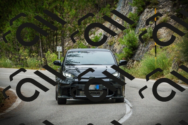 202507261201-DSC08202_c1_