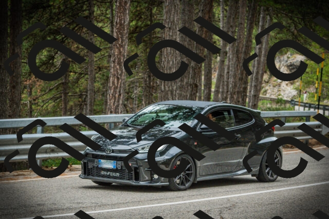 202507261201-DSC08211_c1_