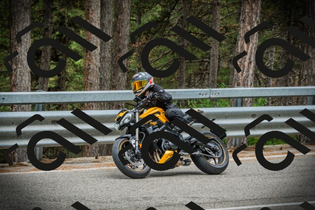 202507261204-DSC08227_c1_