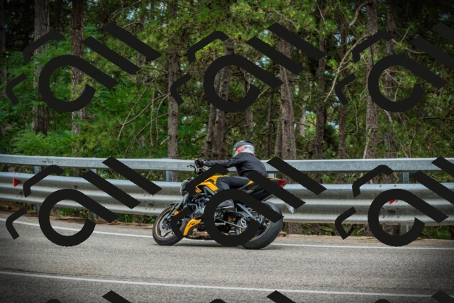 202507261204-DSC08229_c1_