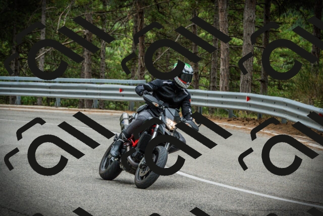 202507261204-DSC08231_c1_