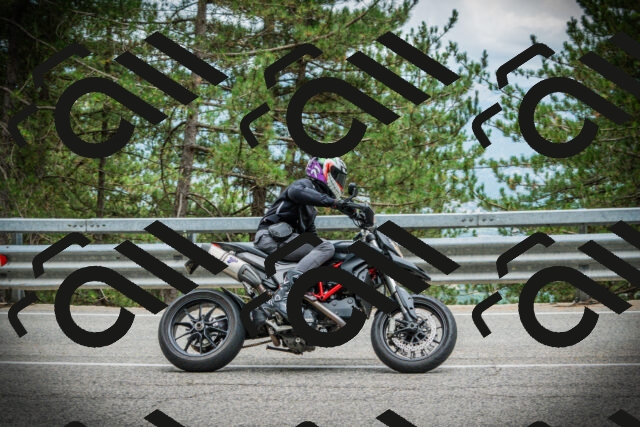 202507261204-DSC08232_c1_