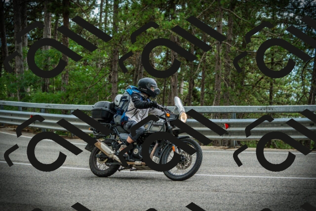 202507261207-DSC08236_c1_