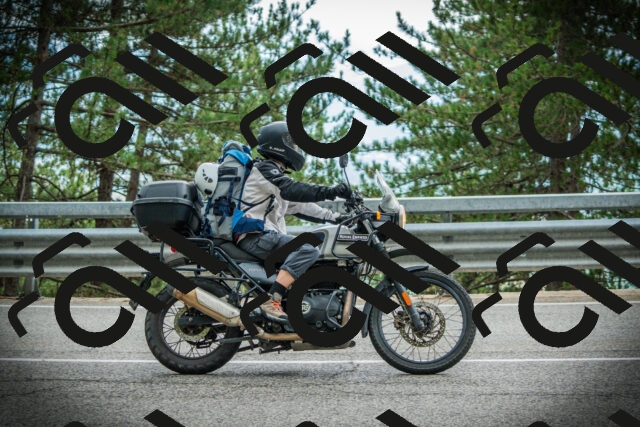 202507261207-DSC08237_c1_