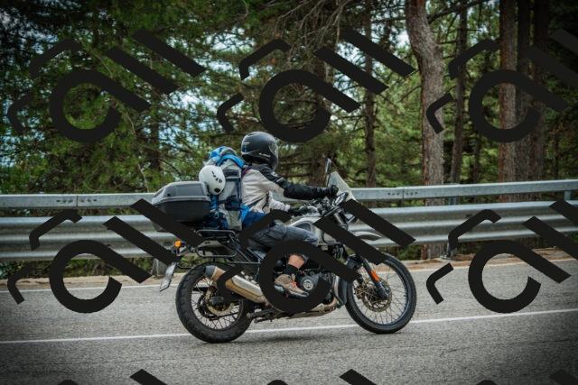 202507261207-DSC08238_c1_