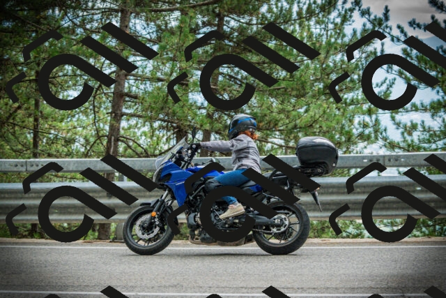 202507261209-DSC08260_c1_