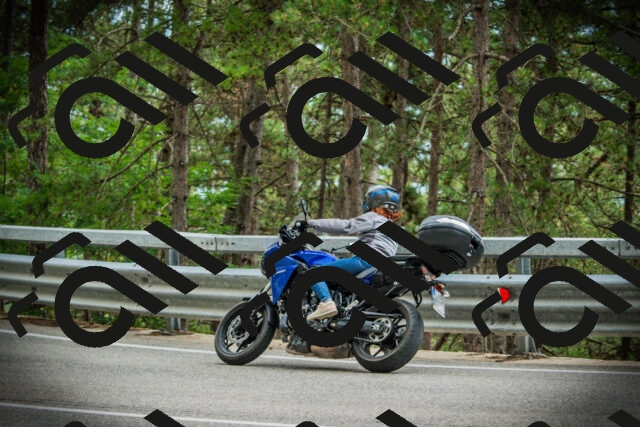 202507261209-DSC08261_c1_