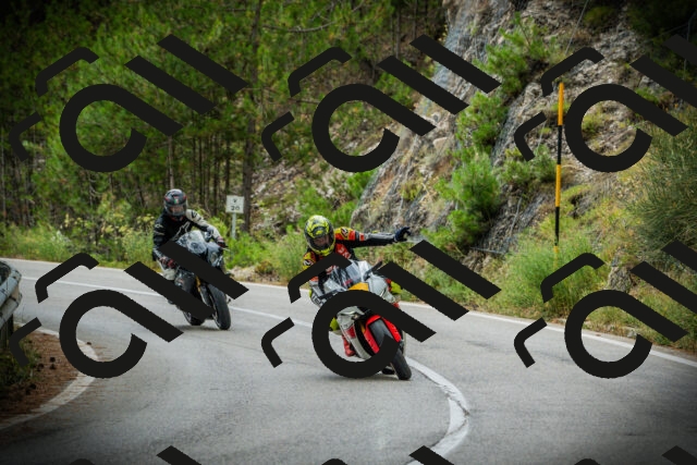 202507261210-DSC08267_c1_