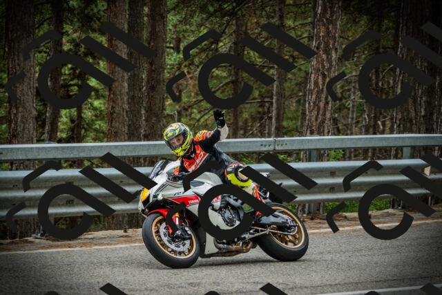 202507261210-DSC08270_c1_