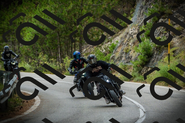 202507261210-DSC08274_c1_