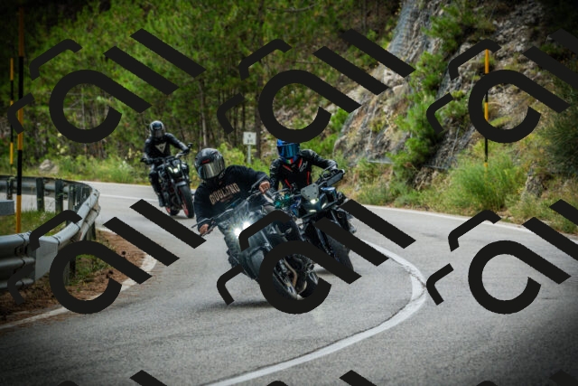 202507261210-DSC08275_c1_