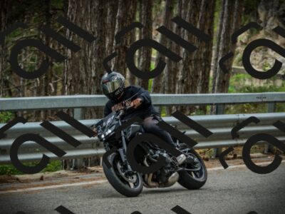 202507261210-DSC08276_c1_