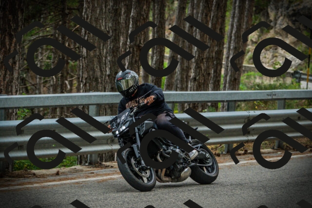 202507261210-DSC08276_c1_