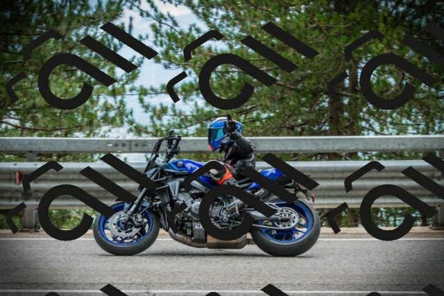 202507261210-DSC08278_c1_