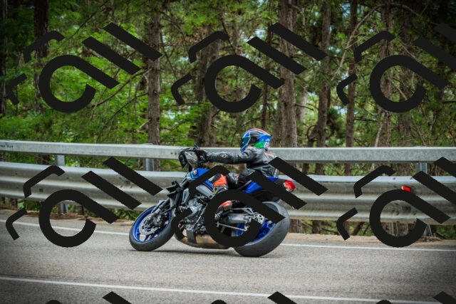 202507261210-DSC08279_c1_