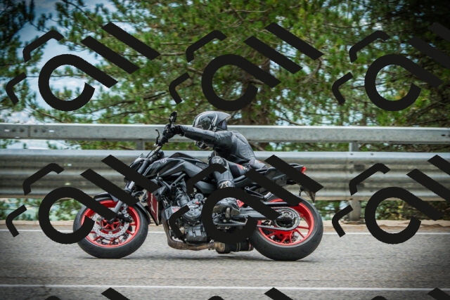 202507261210-DSC08280_c1_