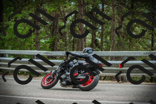 202507261210-DSC08281_c1_