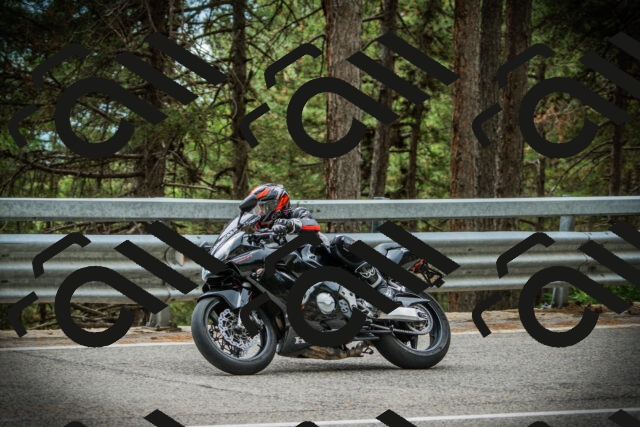 202507261210-DSC08285_c1_