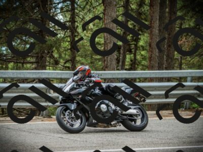 202507261210-DSC08285_c1_