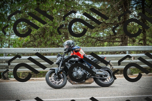 202507261210-DSC08286_c1_