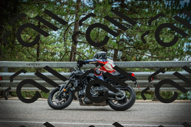 202507261210-DSC08287_c1_