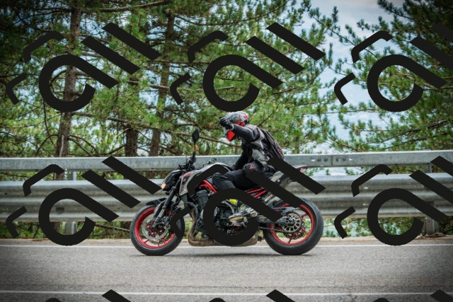 202507261210-DSC08295_c1_