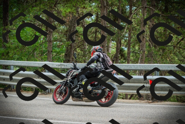 202507261210-DSC08296_c1_