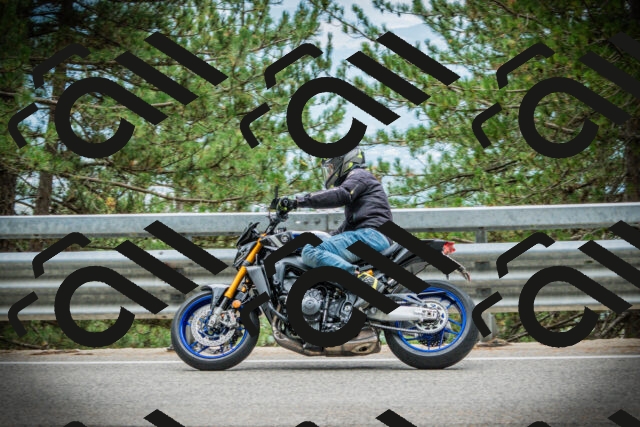 202507261213-DSC08310_c1_