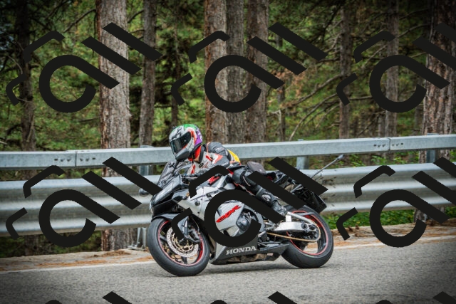 202507261218-DSC08316_c1_