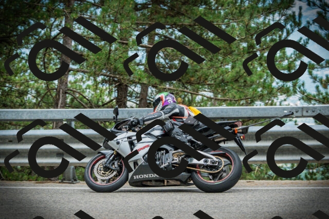 202507261218-DSC08317_c1_